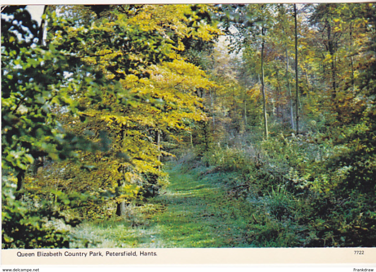 Postcard - Queen Elizabeth Country Park, Petersfield, Hants - Card No. 7722 - VG - Unclassified