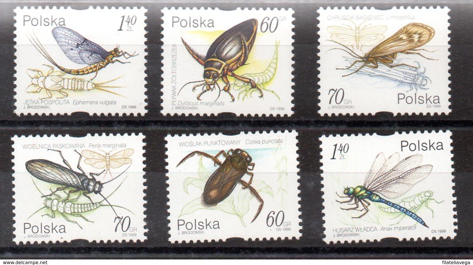 Serie De Polonia N ºYvert 3558/63 (**) INSEPTOD (INSECTS) - Nuevos