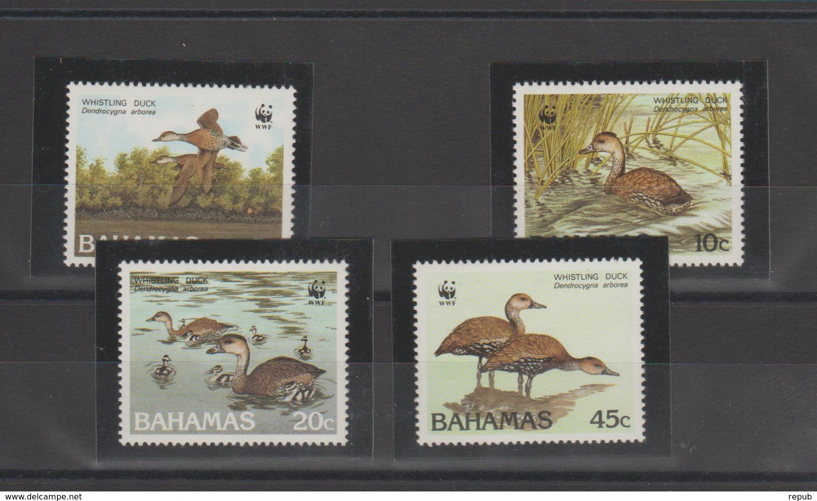 Bahamas 1988 Oiseaux 659-662 4 Val ** MMH - Bahamas (1973-...)