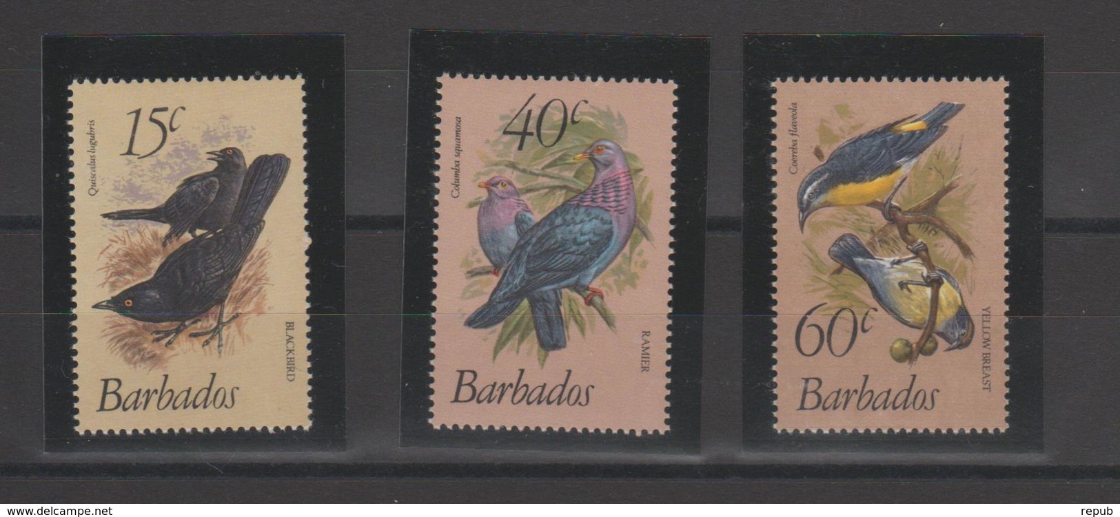 Barbade 1982 Oiseaux 545-47 3 Val ** MMH - Barbades (1966-...)
