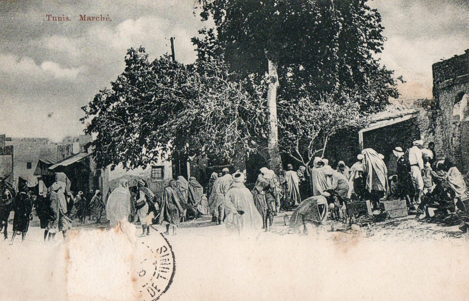 Tunisie - Tunis - Marché - Timbre Arraché - Dos Simple - Tunisie