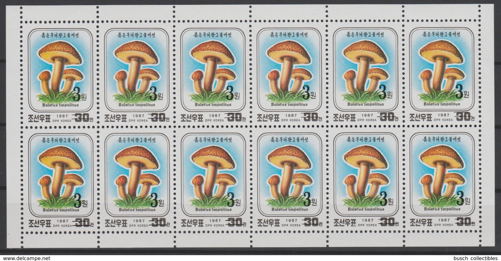 North Korea 2006 Mi. 5047 Minisheet Kleinbogen 12 Stamps OVERPRINT Flora Mushroom Champignon Pilz MNH** RARE - Mushrooms