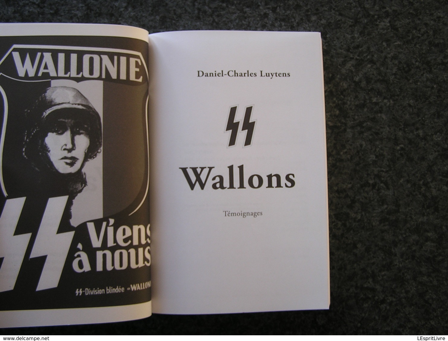 SS WALLONS L' Histoire De La 28 ème Division SS Grenadiers Volontaires Wallonie Guerre 40 45 Belgique Collaboration - Guerra 1939-45