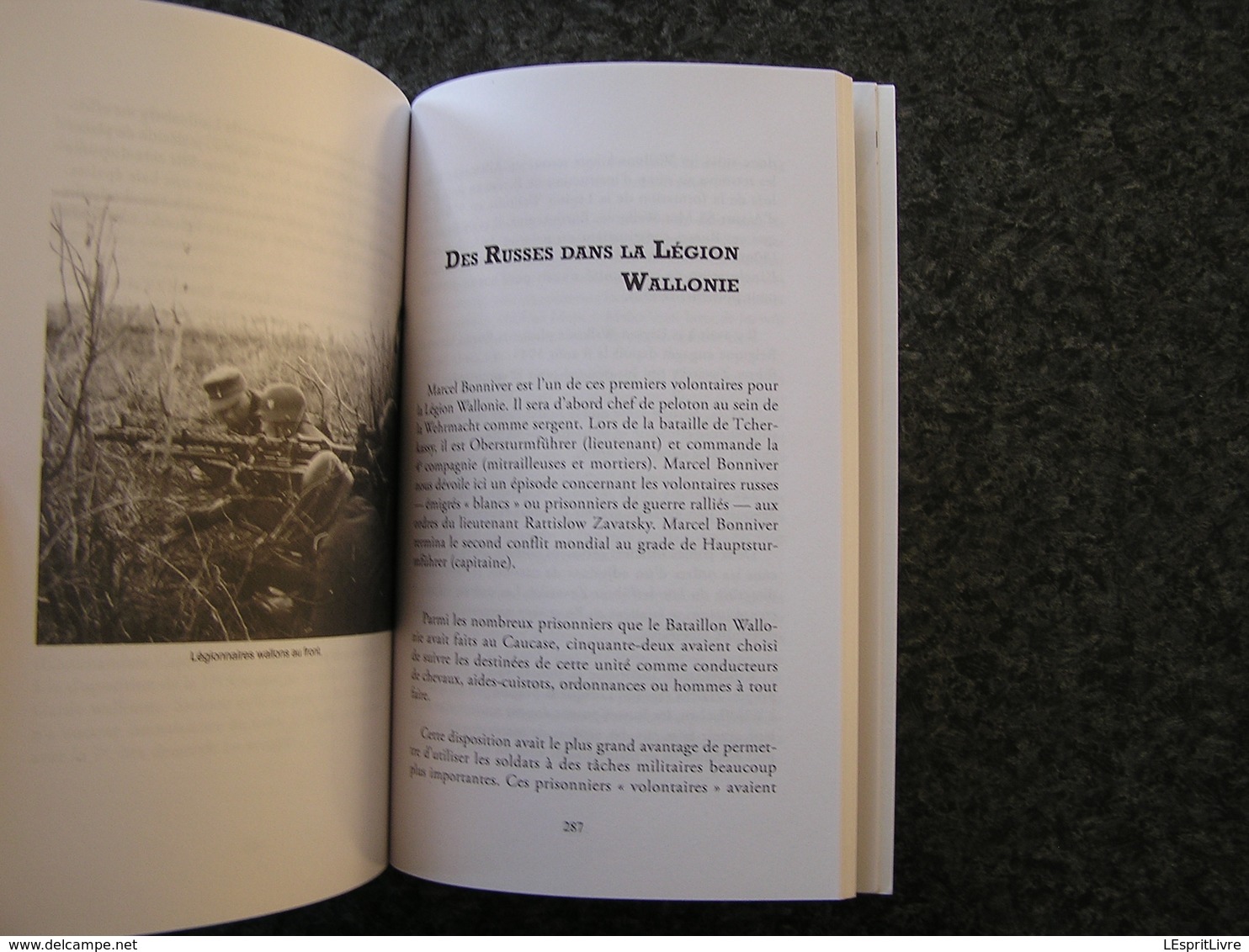 SS WALLONS L' Histoire de la 28 ème Division SS Grenadiers Volontaires Wallonie Guerre 40 45 Belgique Collaboration