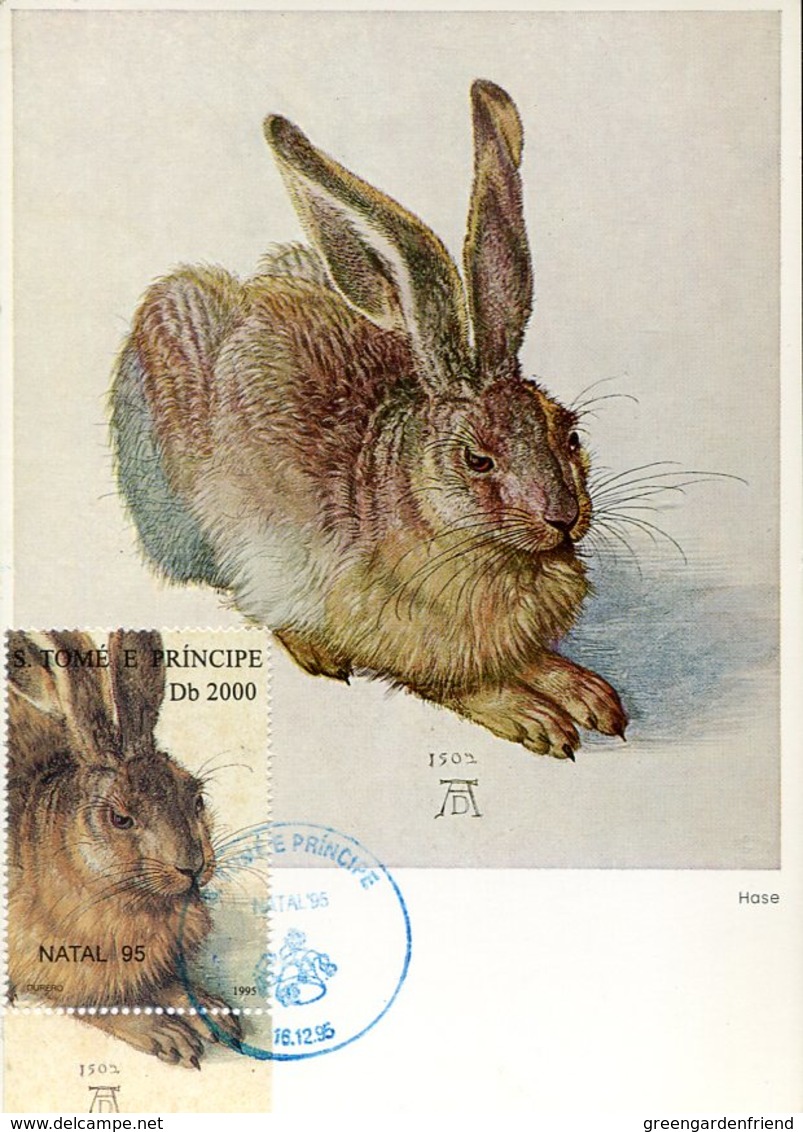 39998 St.tomè E Principe, Maximum 1995  Showing A Painting Of Albrecht  Durer Der Hase, Rabbit, - Autres & Non Classés