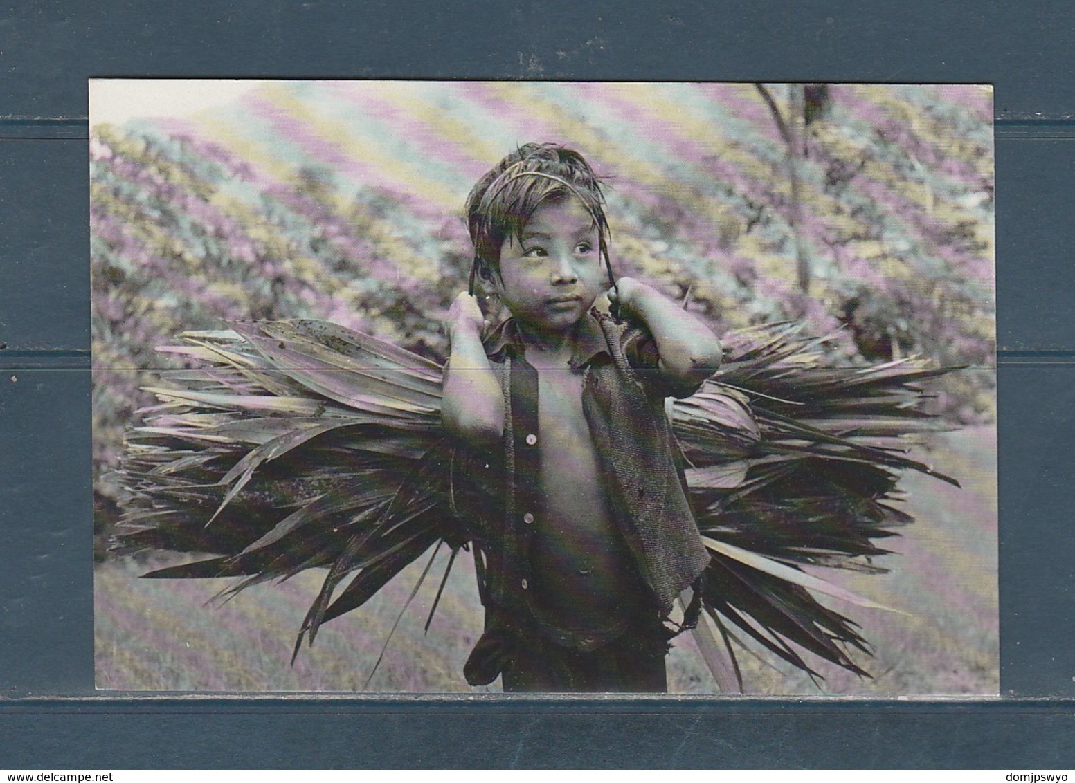 Carte Moderne Maya Chiapas Mexico Enfant Au Travail - America