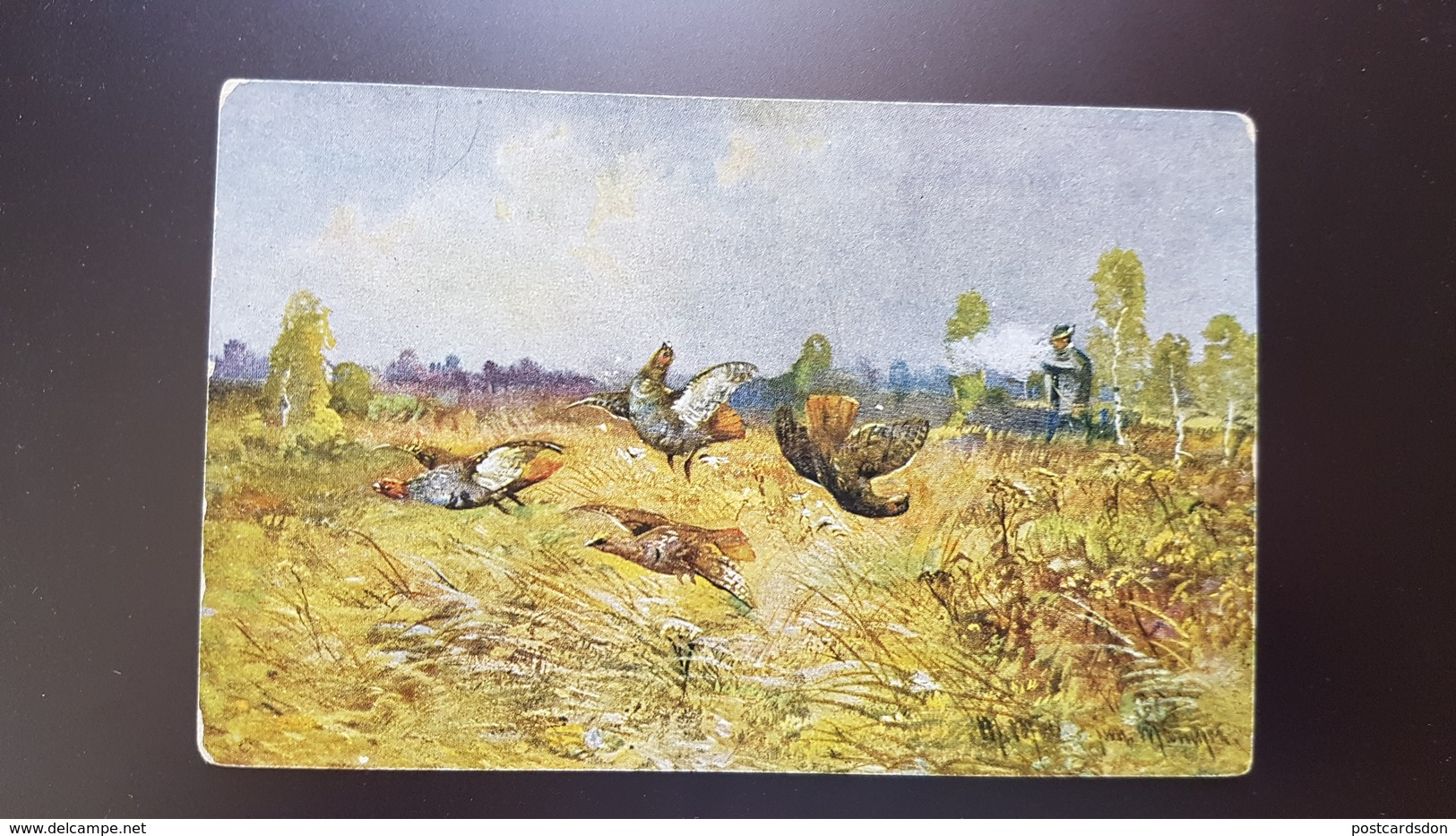 MULLER - Hunting Chasse - Partridge Bird - Old Vintage Postcard - Müller, August - München