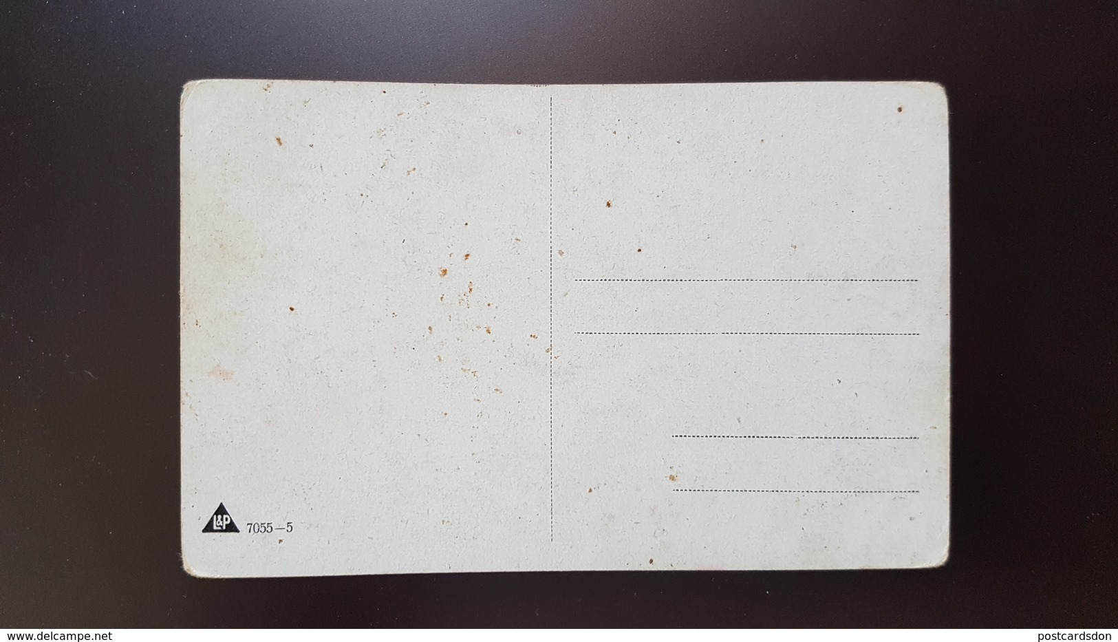 MULLER - Hunting Chasse - Black Grouse Bird - Old Vintage Postcard - Mueller, August - Munich