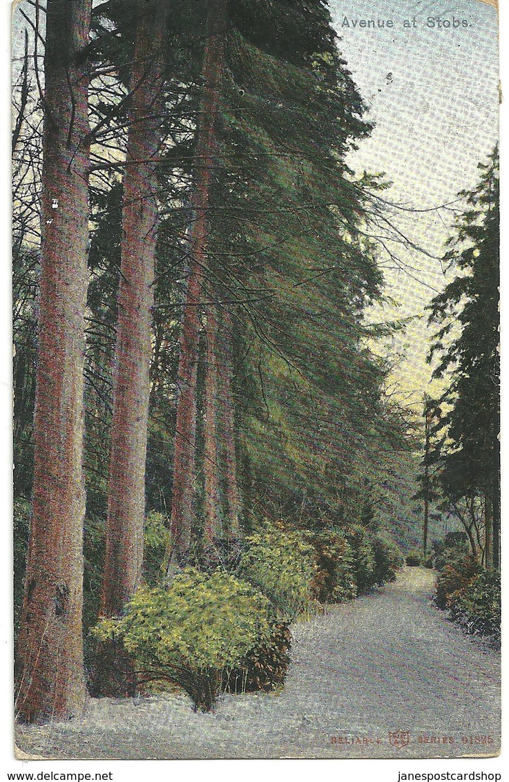 AVENUE AT STOBS - ROXBURGHSHIRE WITH GOOD HAWICK POSTMARK - Roxburghshire