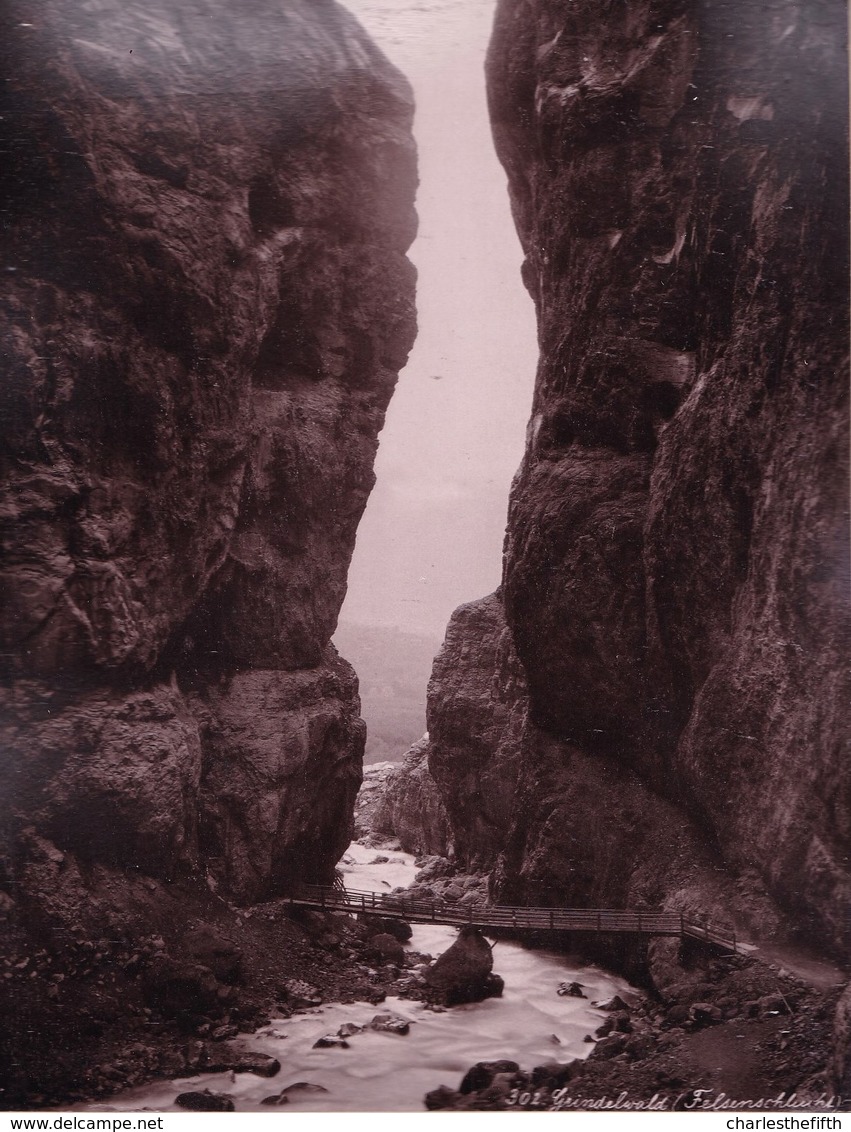 VERS 1880 - TRES RARE - GRANDE PHOTO ALBUMINE MONTEE ** SUISSE LAUTERBRUNNEN CHUTE  - Verso Photo GRINDELWALD - Antiche (ante 1900)