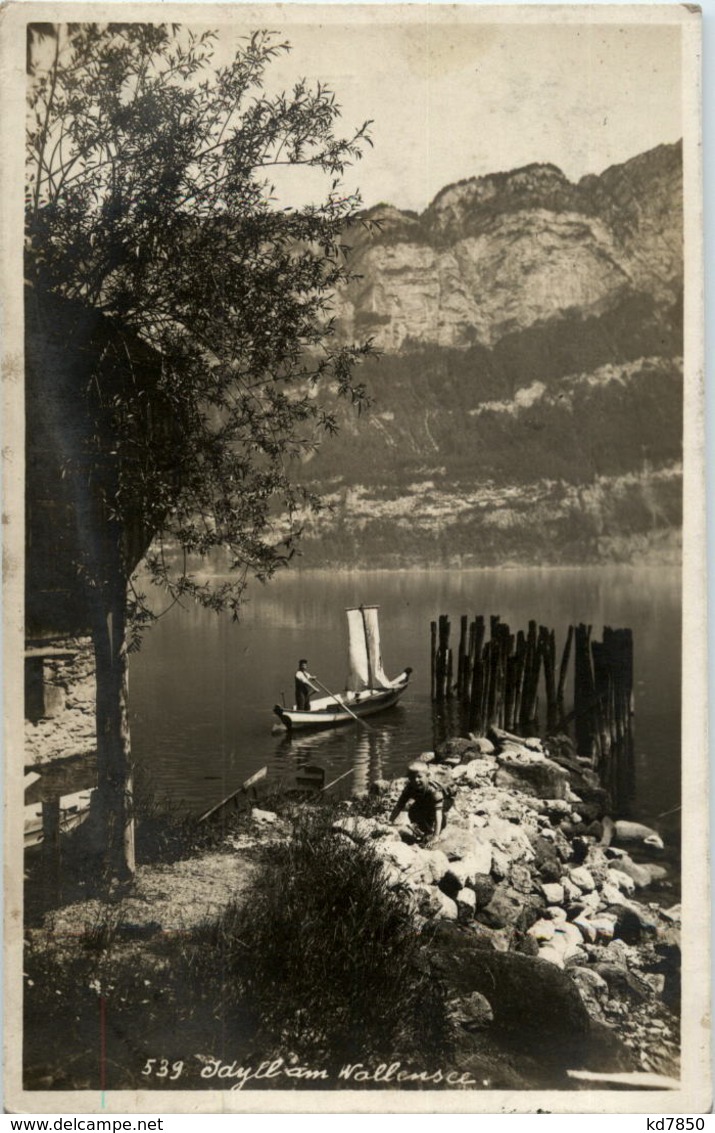 Idyll Am Wallensee - Sonstige & Ohne Zuordnung