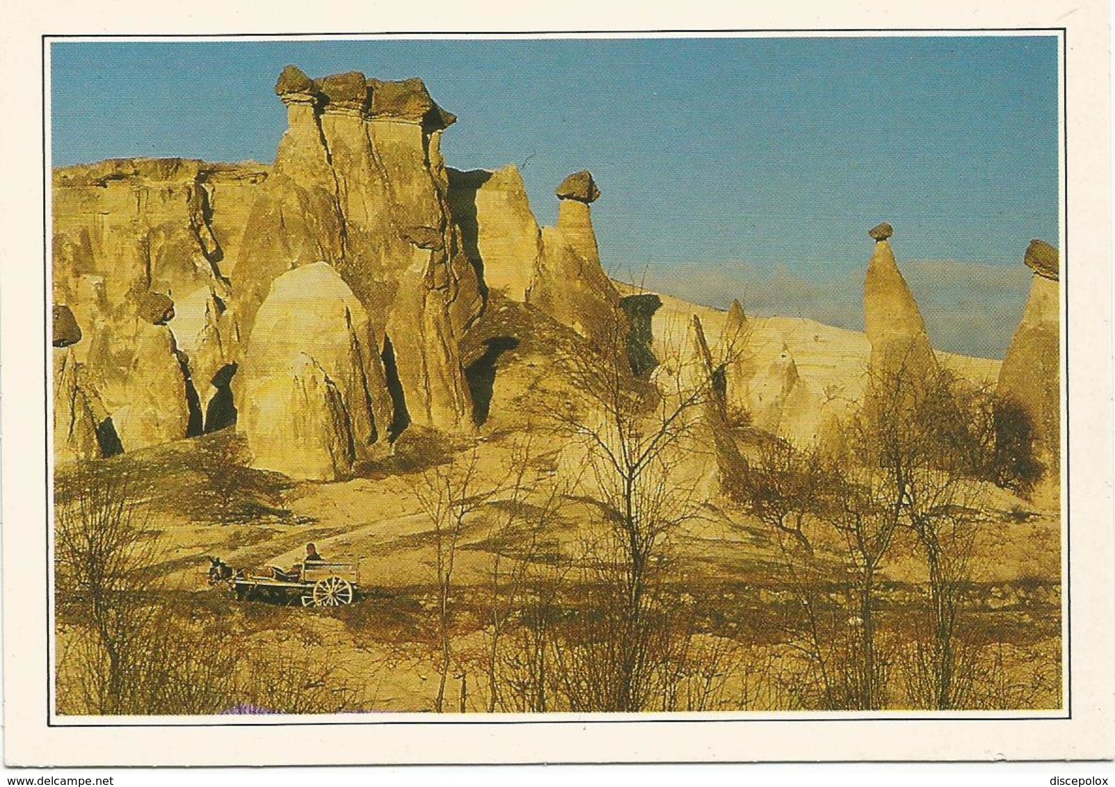 V2898 Turchia - Cappadocia - I Camini Delle Fate - Cartolina Con Legenda Descrittiva / Non Viaggiata - Europa