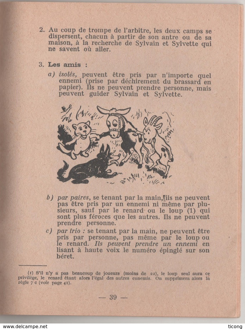 JOUONS AVEC NOS ILLUSTRES ( SYLVAIN ET SYLVETTE ) COLLECTION JEU ET JOIE FLEURUS - VOIR LES SCANNERS - Autres & Non Classés