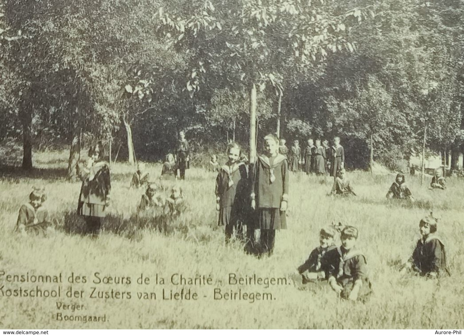 Beirlegem  Kostschool Pensionnat Des Soeurs De La Charité (verger - Carte Légèrement Gondolée) - Zwalm