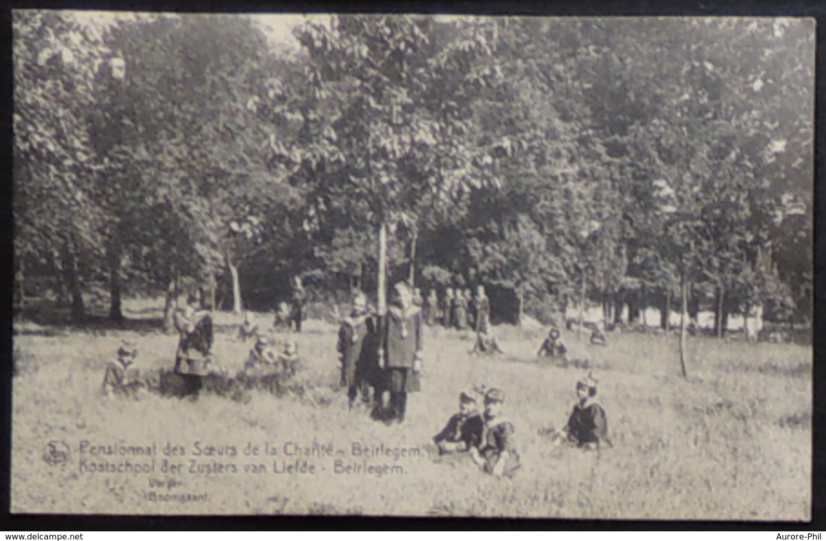 Beirlegem  Kostschool Pensionnat Des Soeurs De La Charité (verger - Carte Légèrement Gondolée) - Zwalm