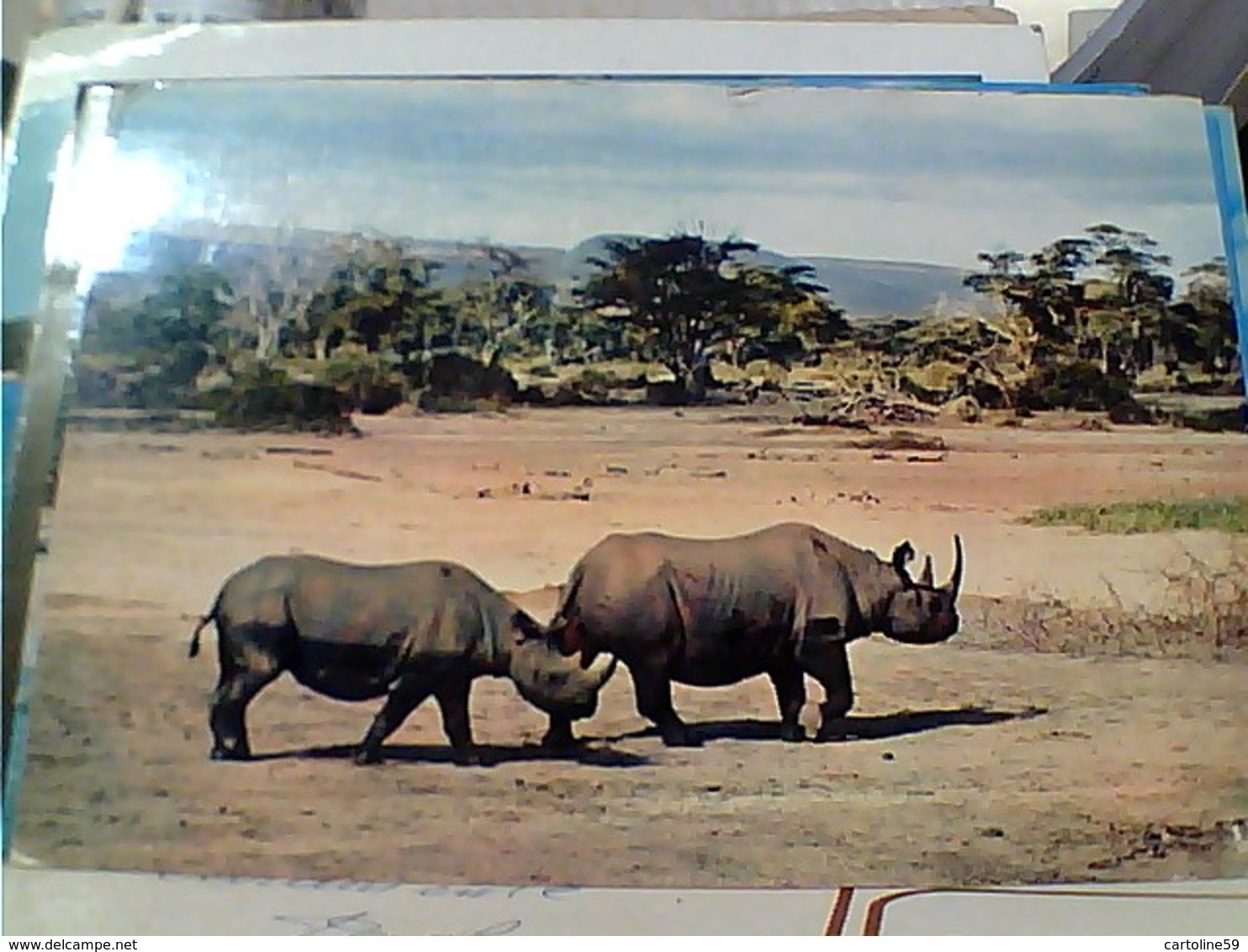 RINOCERONTE RHINOCEROS  STAMP TIMBRE SELO KENIA UGANDA TANZANIA  30 C Shell 1 OAU SUMMIT KAMPALA GX5745 - Rhinocéros