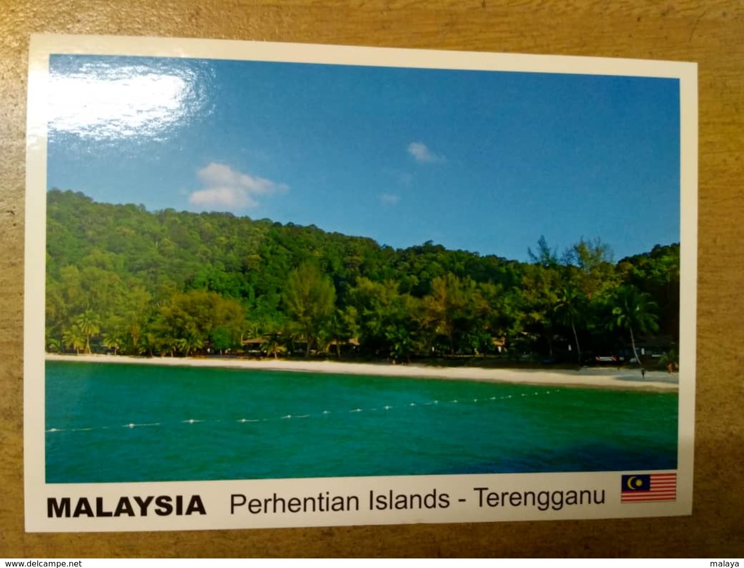 Malaysia Perhentian Islands Terengganu Trengganu Fish Swim Coral Bay Jetty Beach Water - Malaysia