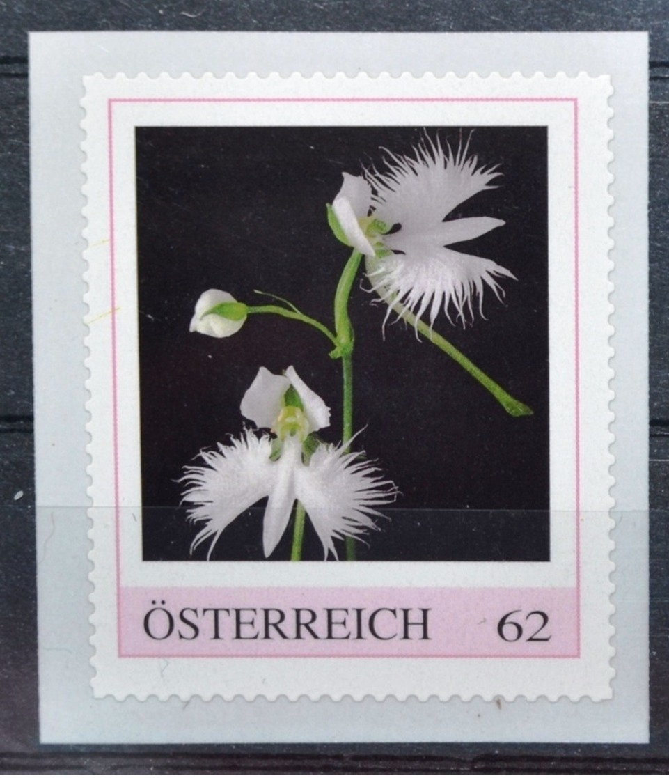 SPECIAL EDITION AUSTRIAN POST - F384 Japanische Vogelblume, Habenaria Radiata, Orchideen, Orchids, AT 2013 ** - Autres & Non Classés