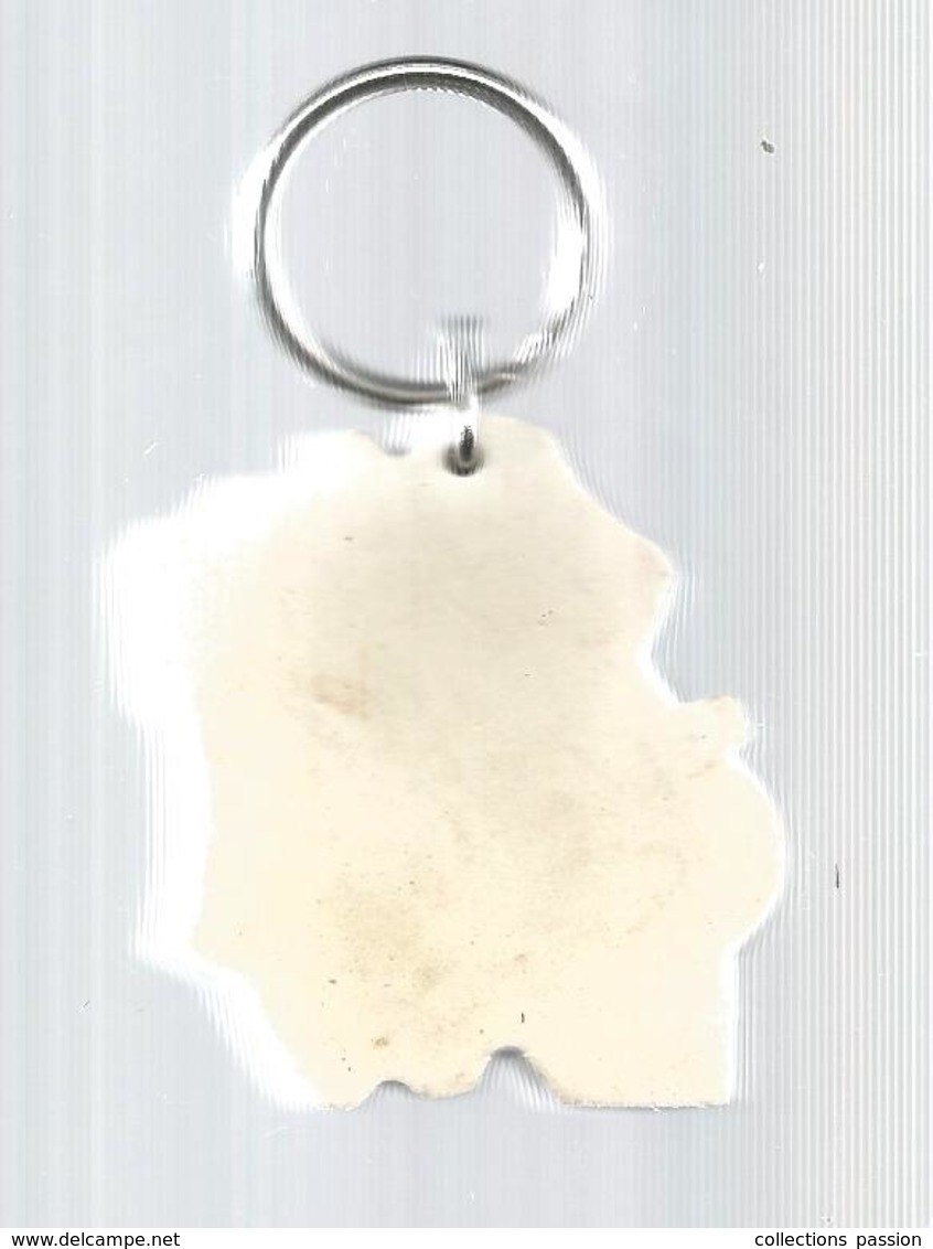 Porte Clefs, Clés , LE DEPARTEMENT ESSONNE , 2 Scans ,  Frais Fr 2.25 E - Portachiavi