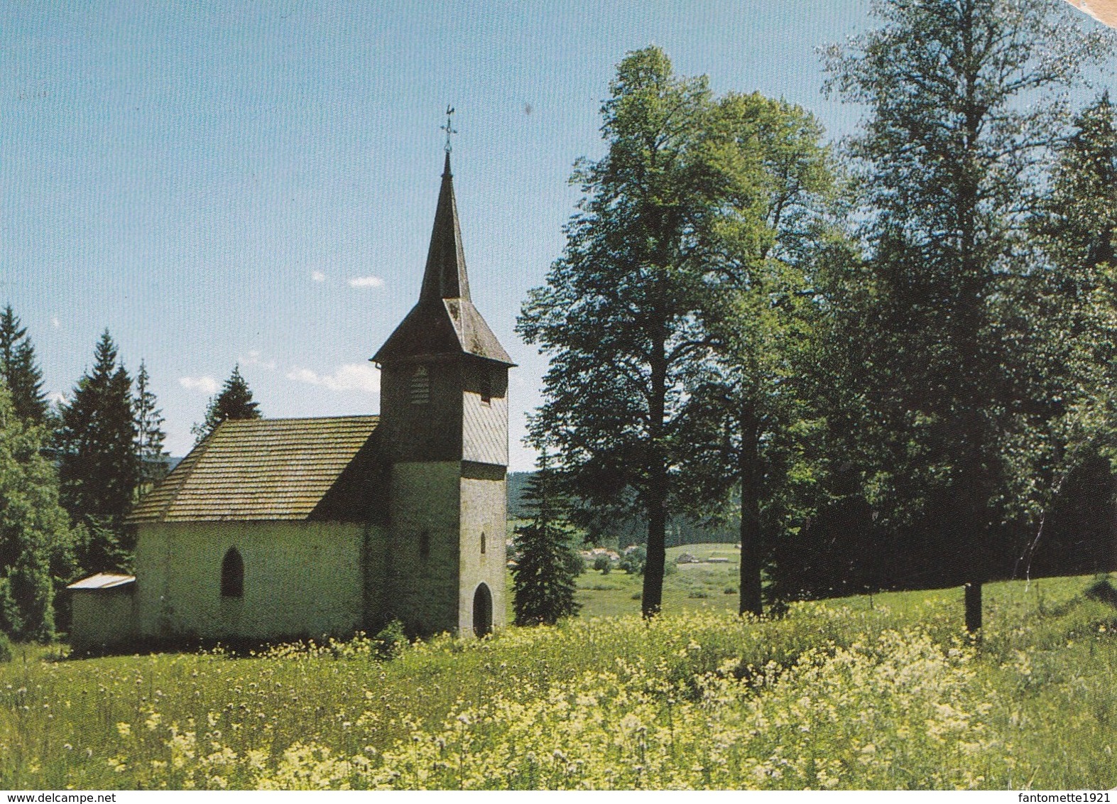 REMORAY LA CHAPELLE ST THEODULE (dil411) - Autres & Non Classés