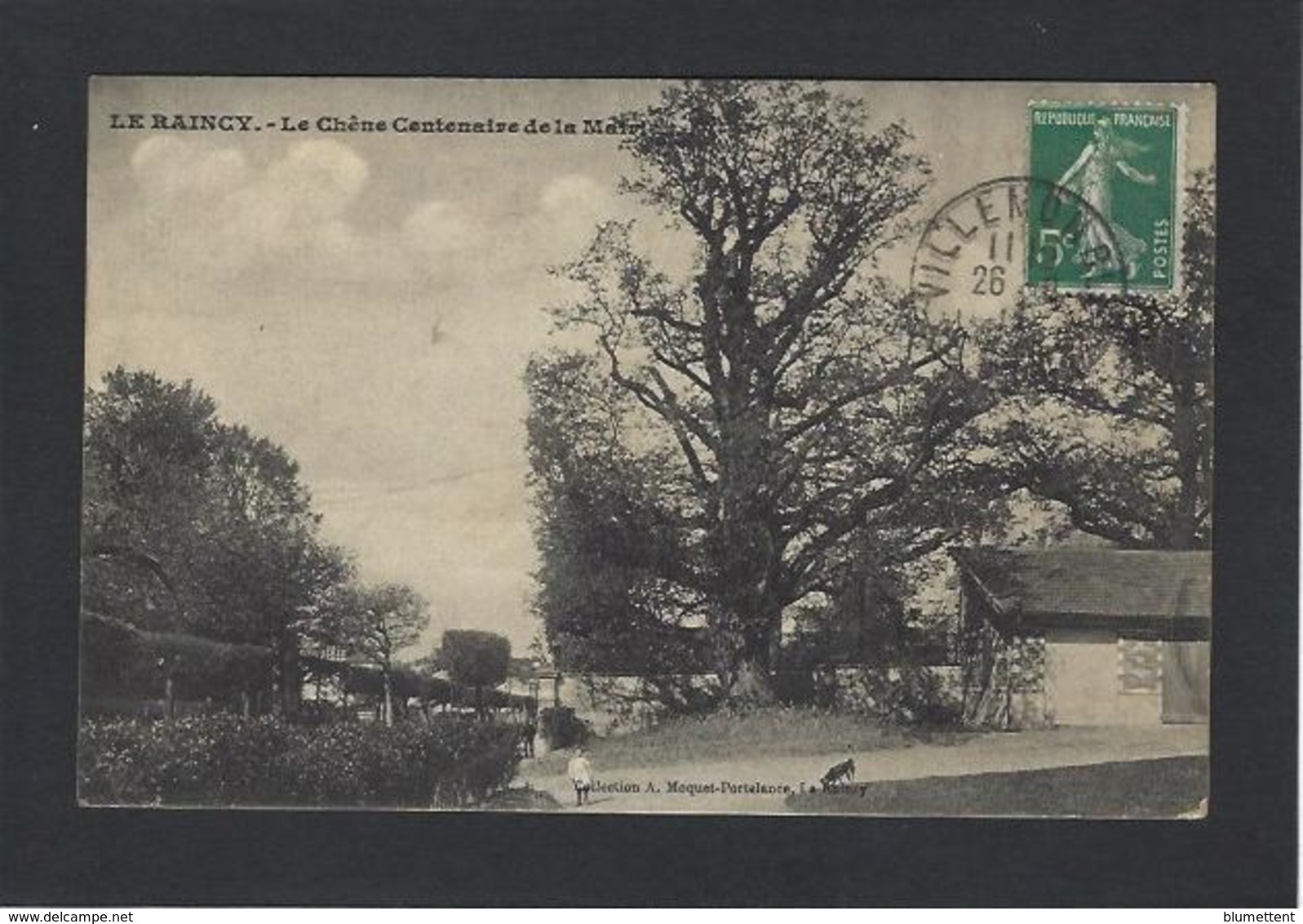 CPA Seine Saint Denis 93 Le Raincy Circulé Le Chêne Centenaire Arbre - Le Raincy