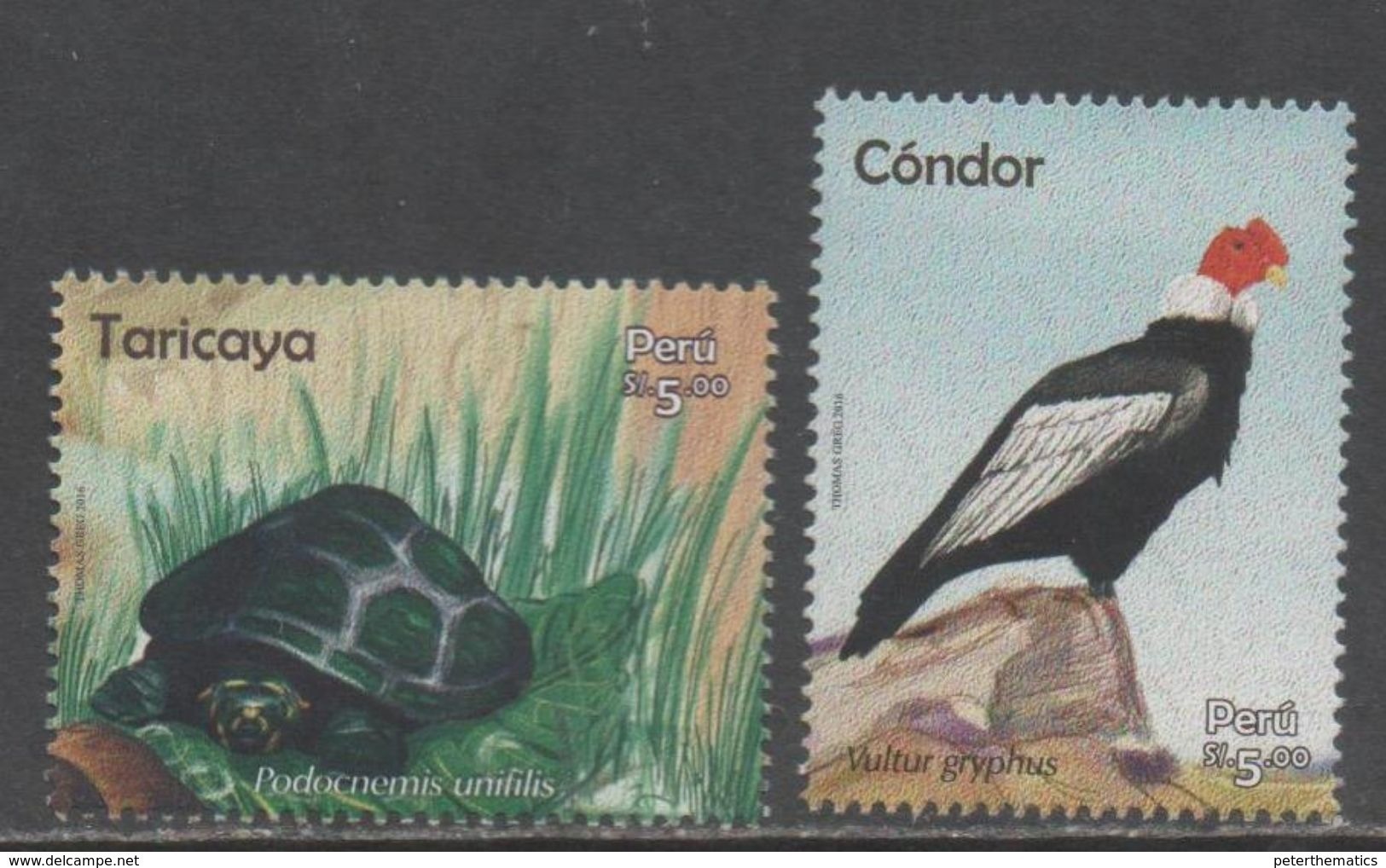 PERU , 2016, MNH, FAUNA, BIRDS, CONDORS, TORTOISES, TURTLES,  2v - Other & Unclassified