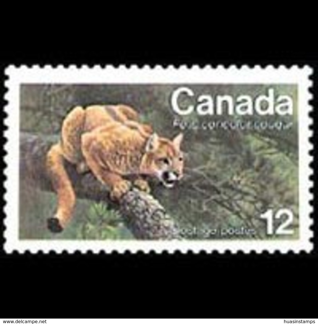 CANADA 1977 - Scott# 732 Eastern Cougar Set Of 1 MNH - Neufs