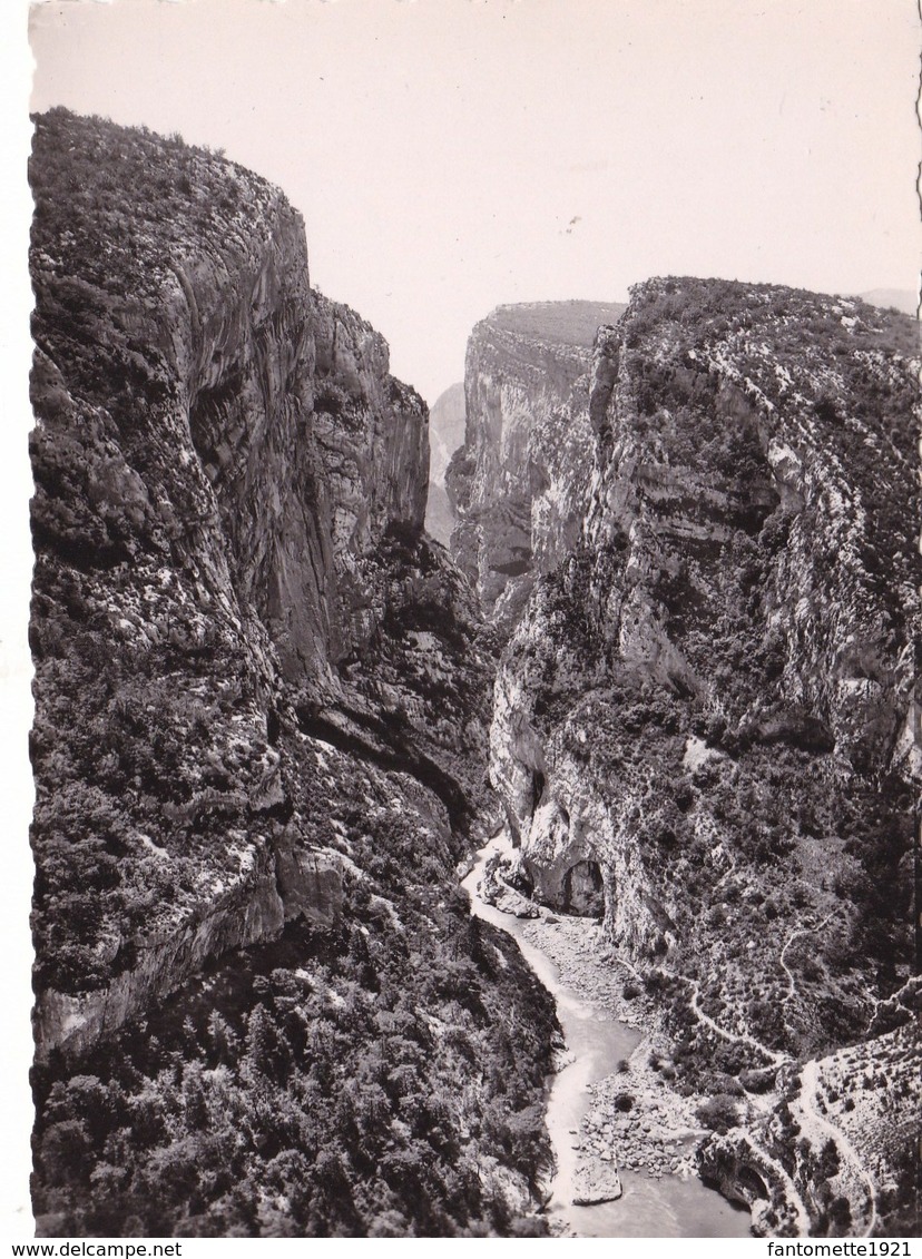 LE POINT SUBLIME   LE CANON/LES GORGES DU VERDON (dil419) - Autres & Non Classés