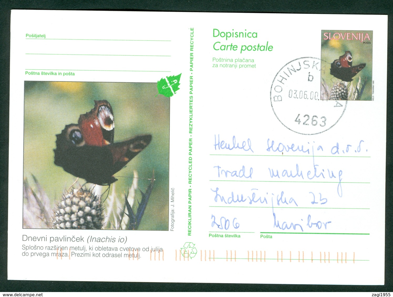 Slovenia 1995 Butterfly Inachis Io Stationery Letter Cover Card - Slovenia