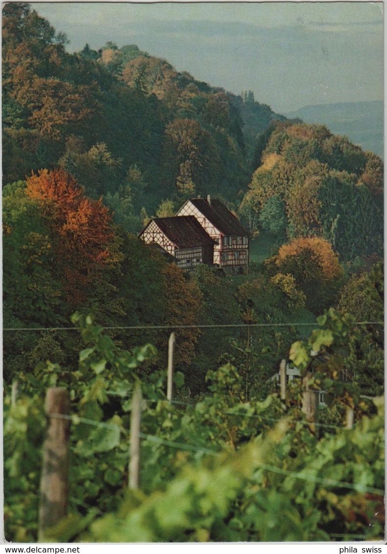 Blick Auf Hinterburg In Salenstein -. Photo: Hans Baumgartner - Salenstein