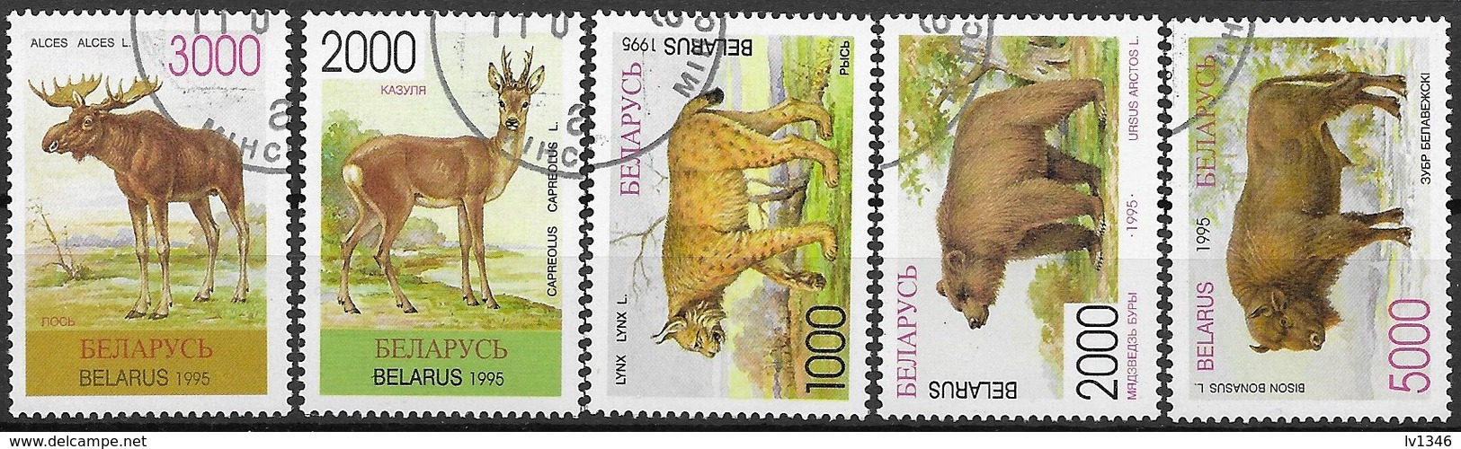 Bel1 Fauna 1995 Used-oblit. - Belarus