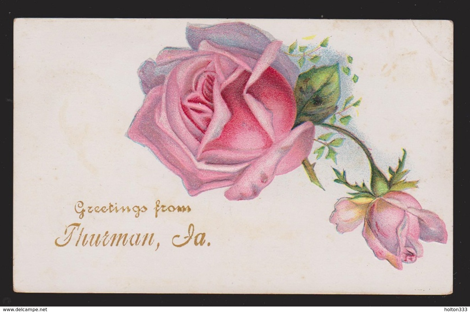 General Greetings - Roses - Used - Embossed - Greetings From...