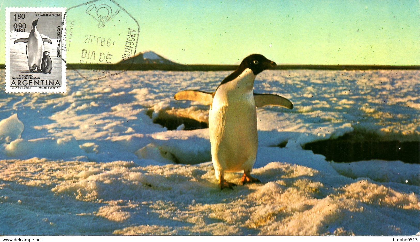 ARGENTINE. PA 82 De 1961 Sur Carte Maximum. Manchot. - Antarctic Wildlife