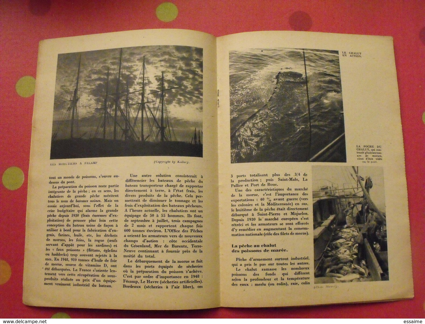 La Pêche Maritime En France. Domentation Française Illustrée 1949. Photos. - Caza/Pezca