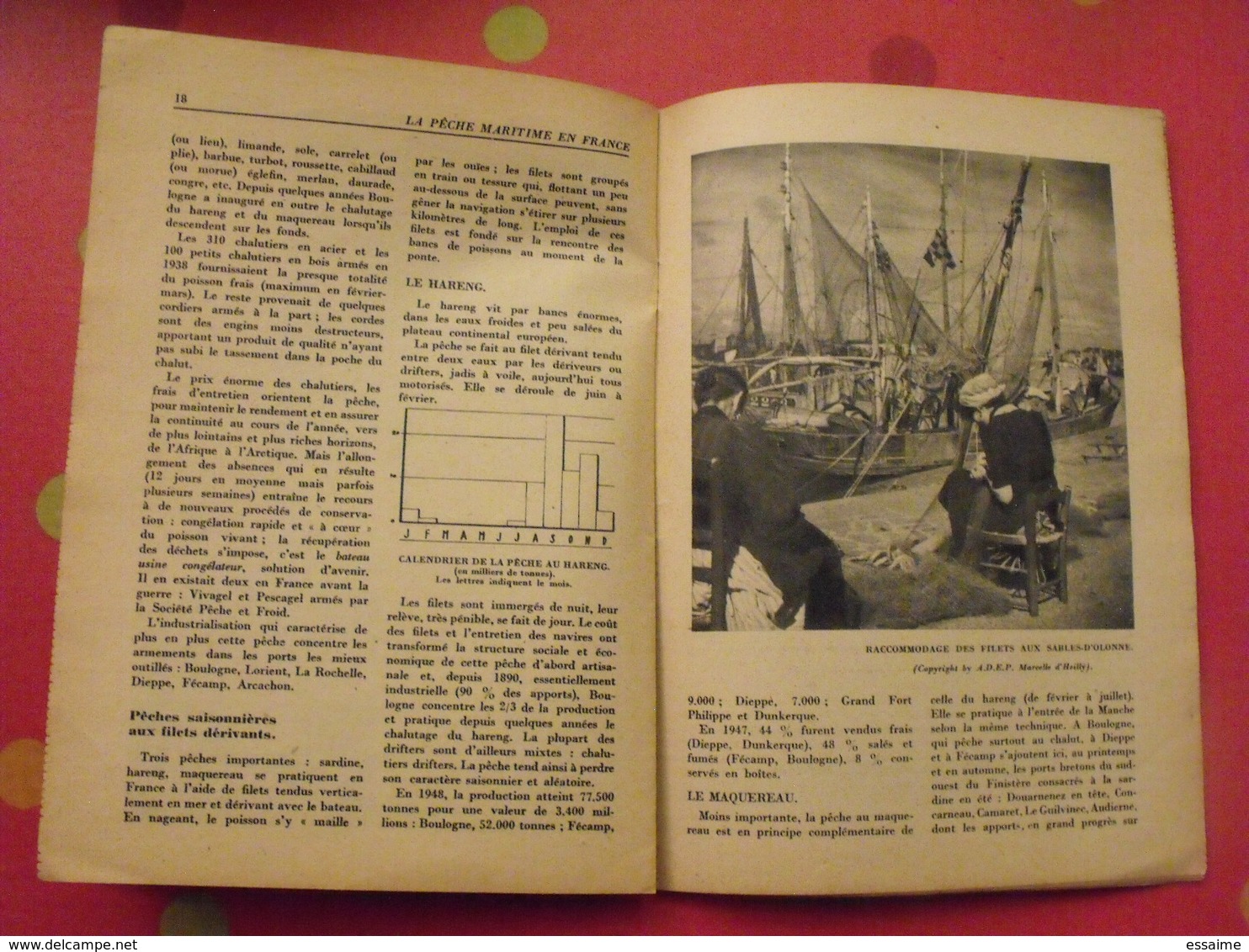 la pêche maritime en France. domentation française illustrée 1949. photos.