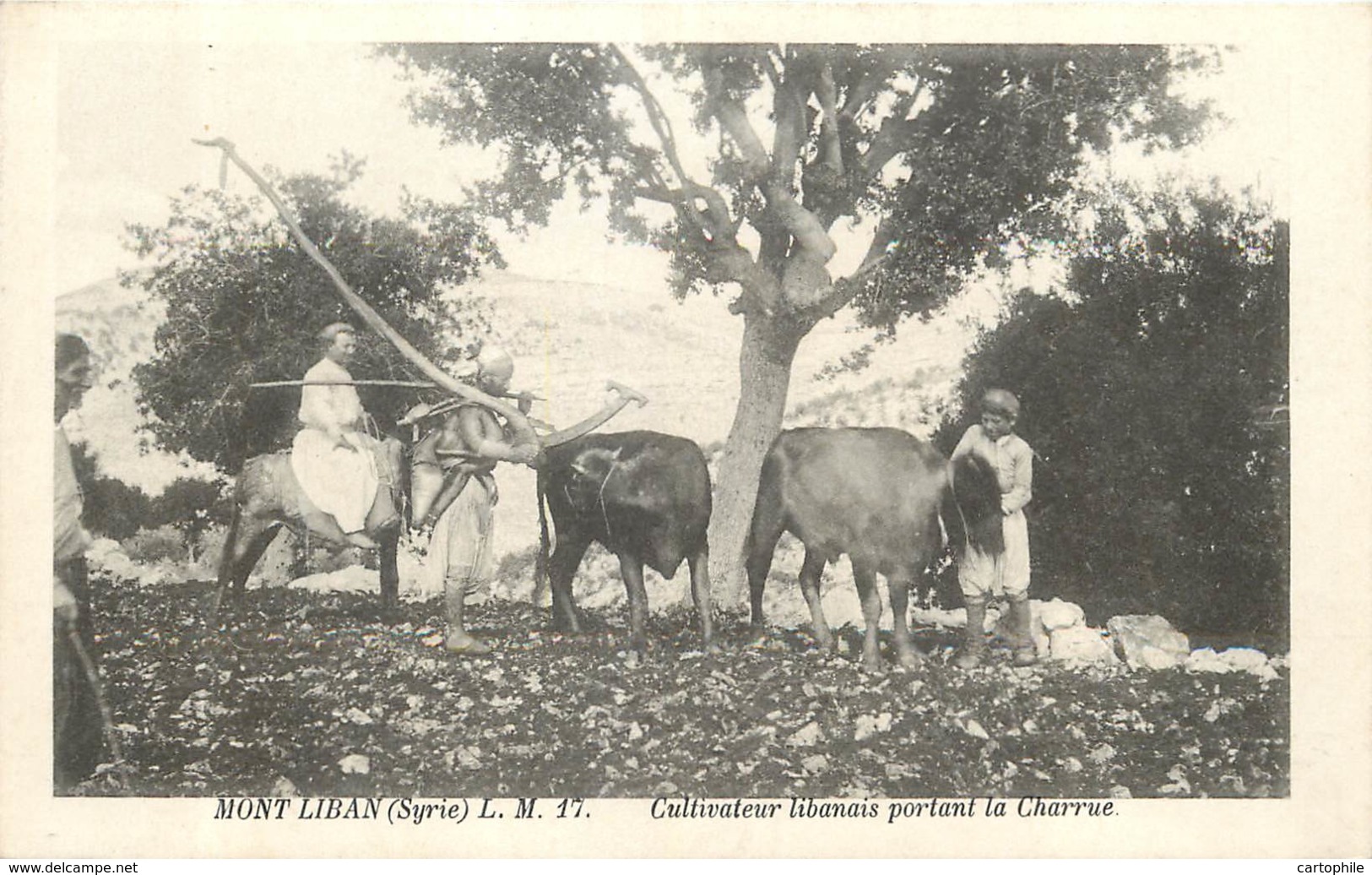 MONT LIBAN - Cultivateur Libanais Portant La Charrue - Líbano