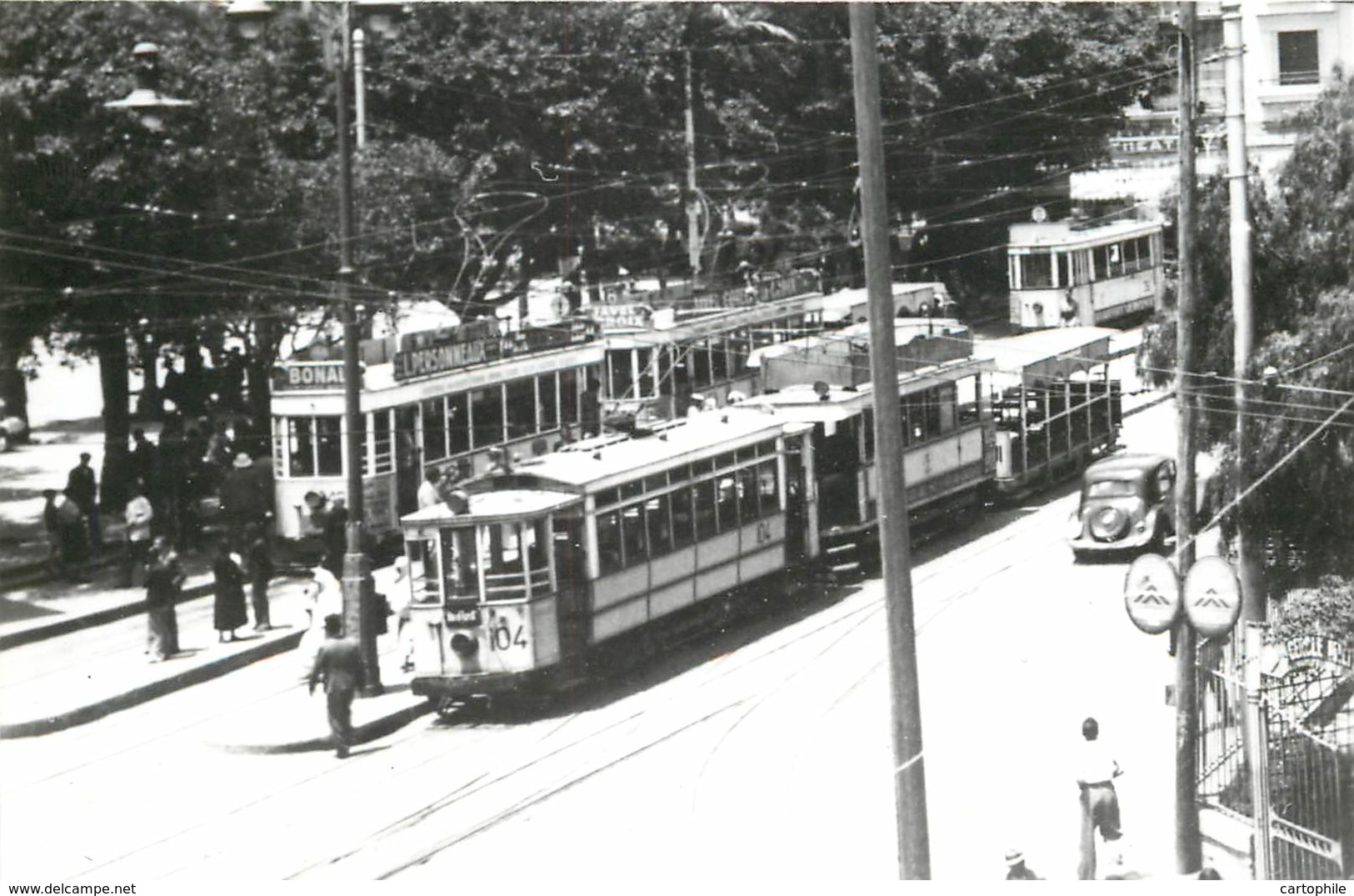 Algerie - Lot De 2 Photos De Tramways à Oran - Place D'Armes Ou Place Foch - Places