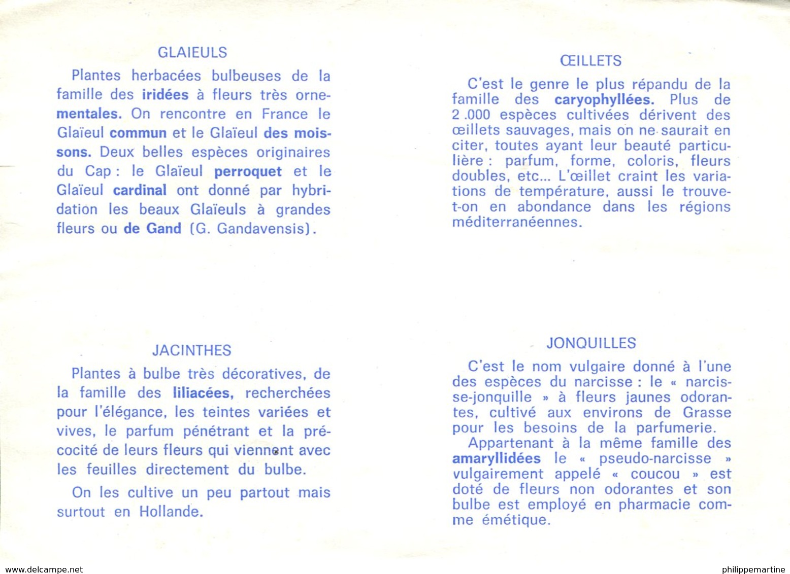 Images Bon Point : Oeillets, Glaieuls, Jonquilles Et Jacinthes - Autres & Non Classés
