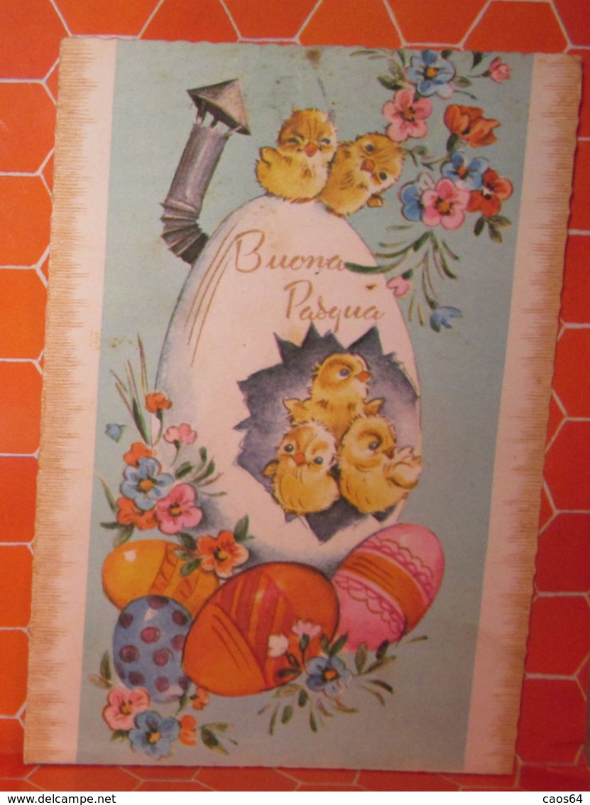 Auguri Buona Pasqua  Cartolina  1984 - Easter