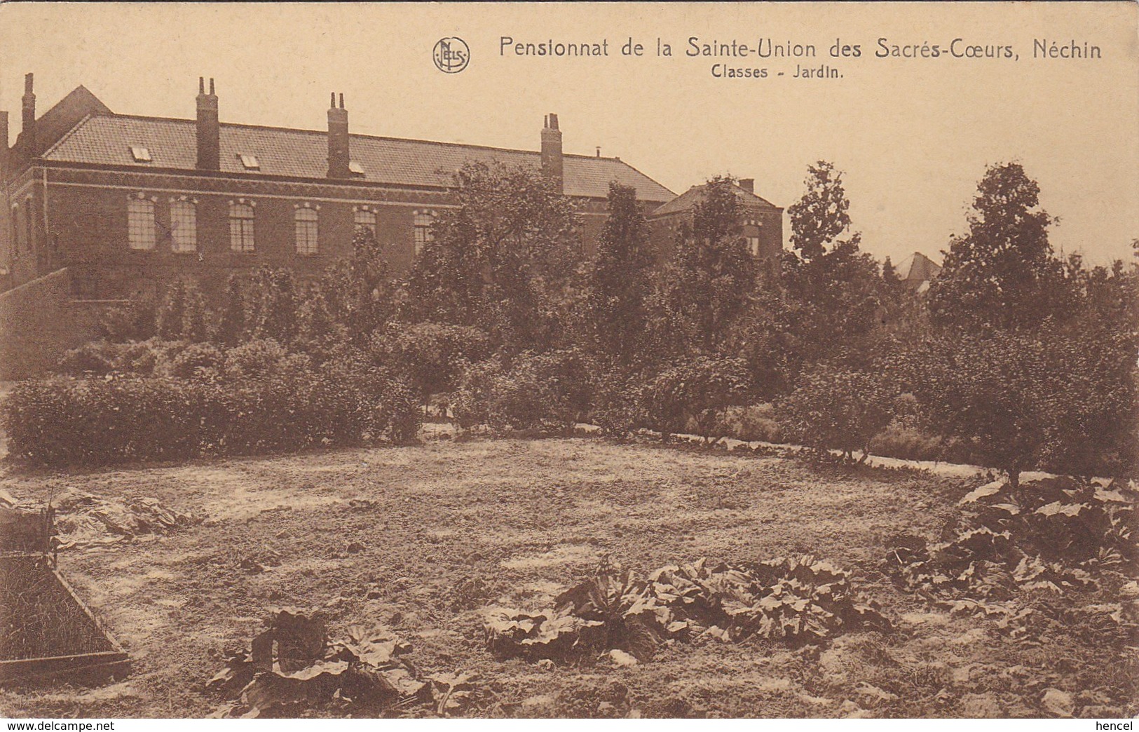 NECHIN - ESTAIMPUIS. Pensionnat De La Sainte-Union Des Sacrés-Coeurs - Estaimpuis