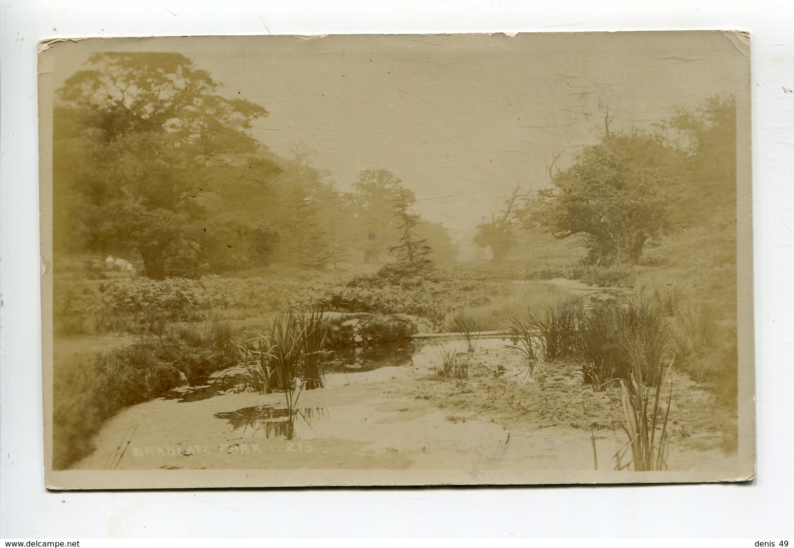 Bradgate Leicester  Carte Photo Originale - Leicester