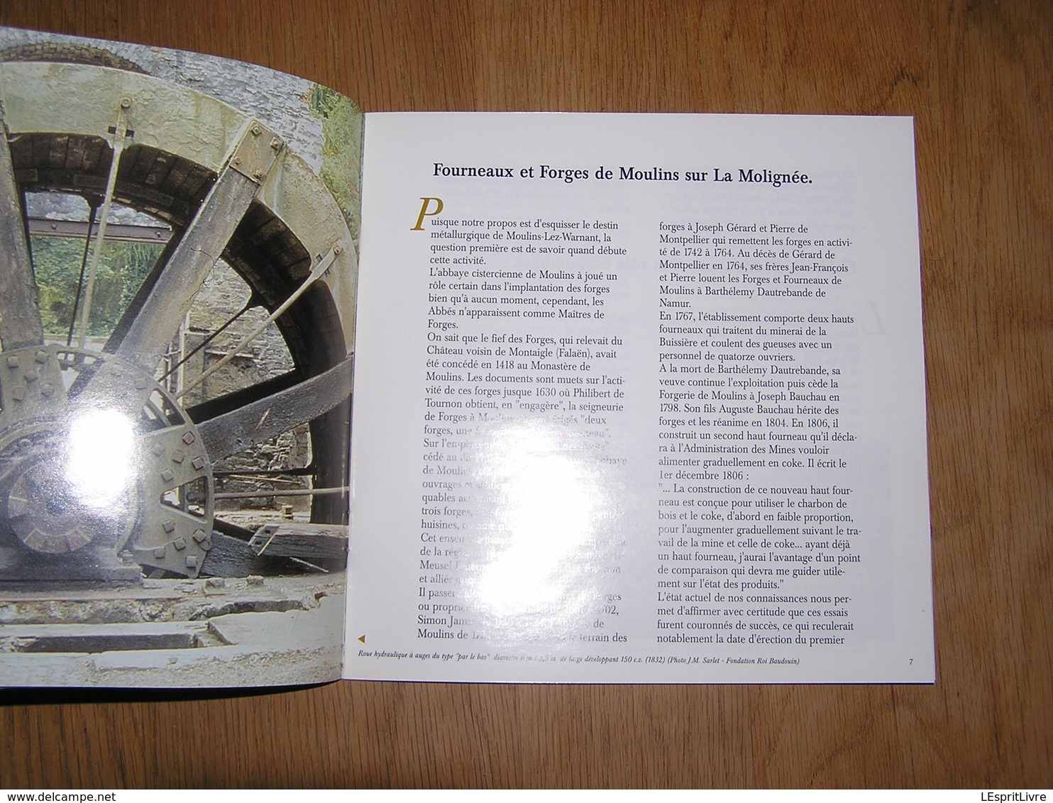 LES USINES DE MOULINS Famille Jacquier De Rosée Maîtres De Forges Régionalisme Warnant Molignée Industrie Cuivre Forge - Belgique