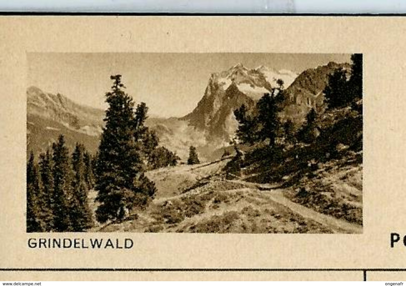 Carte Illustré Neuve N° 182 - 0152 F - GRINDELWALD    (Zumstein 2009) - Entiers Postaux