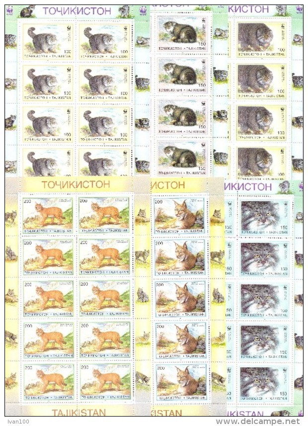 1996. Tajikistan,  WWF, Wild Cats, 6 Sheetlets Of 10v, Mint/* - Tadjikistan