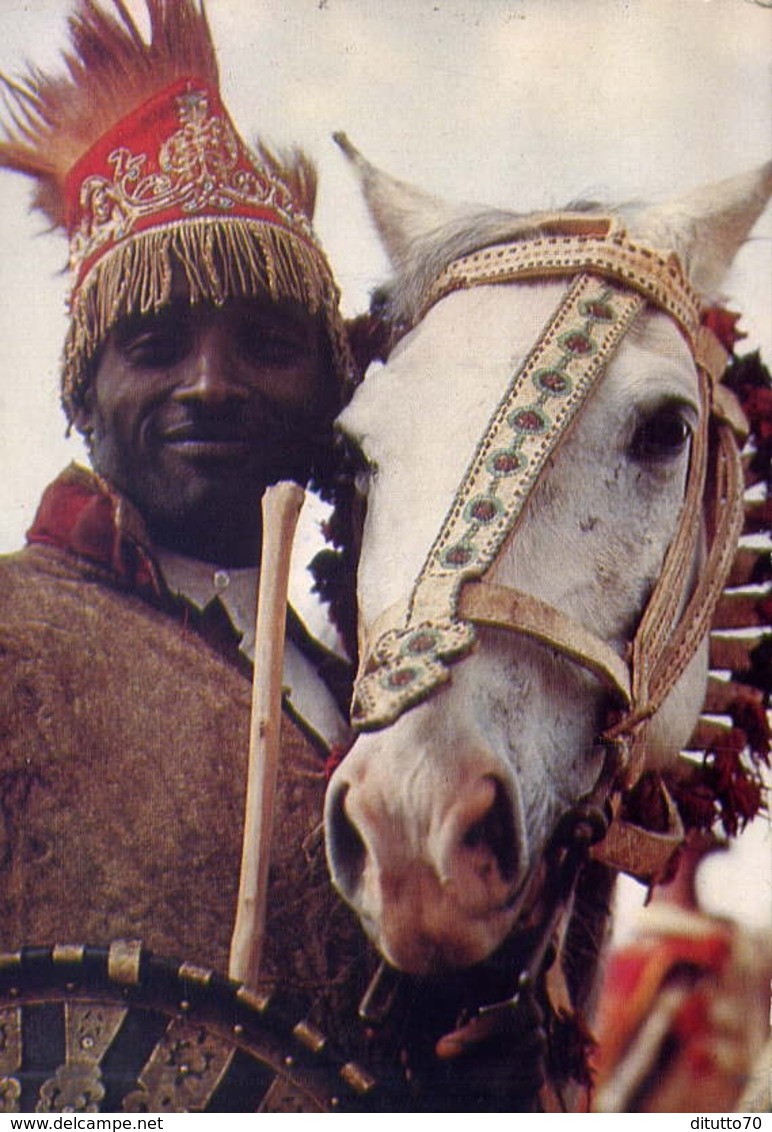 Months Of Sunshine - Adois Abaha - Ethiopian - Cavallo - Formato Grande Viaggiata Mancante Di Affrancatura – E 9 - Non Classificati