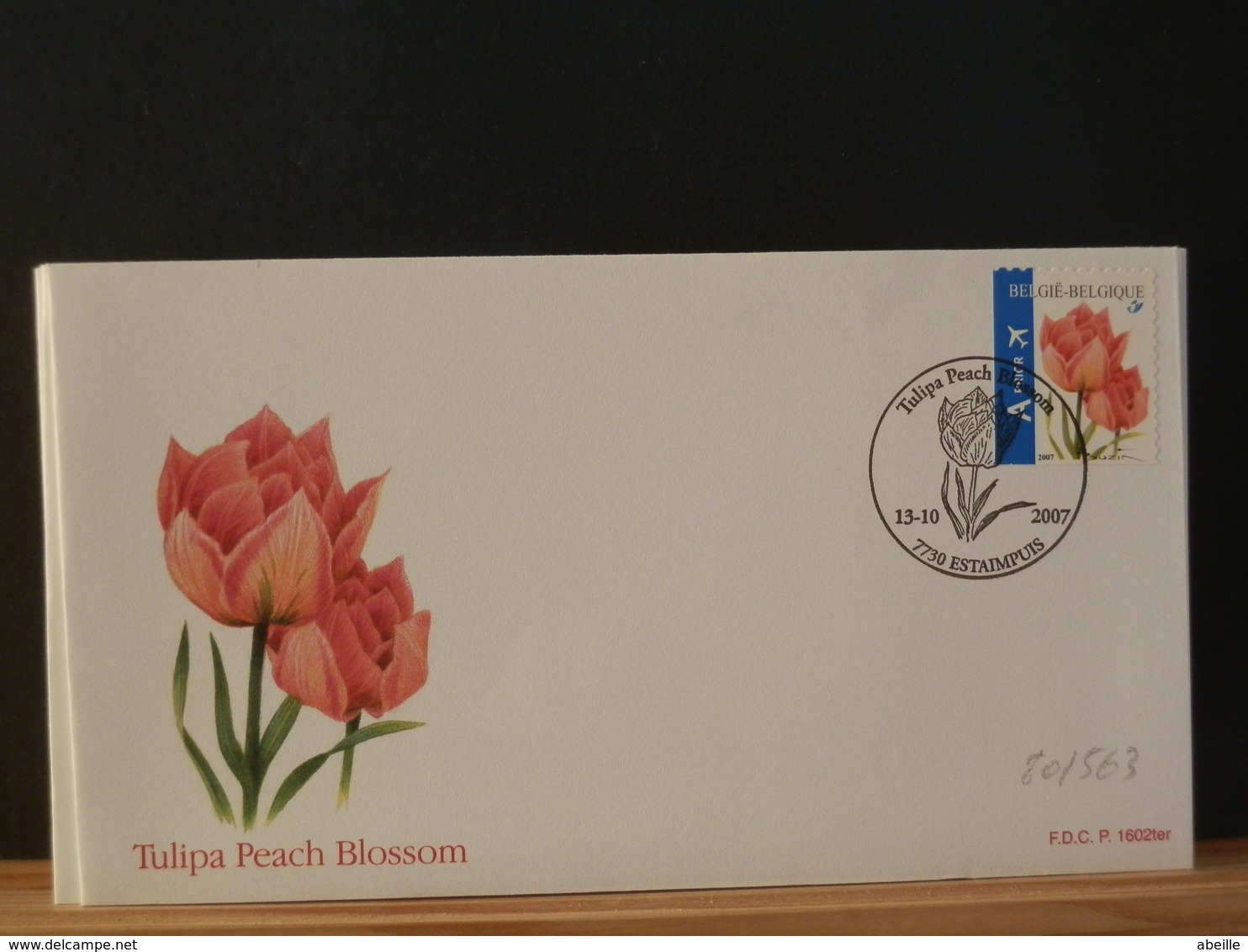 80/563   FDC BELGE   2007  NR. 3723 NR. FDC  1602TER - 2001-2010