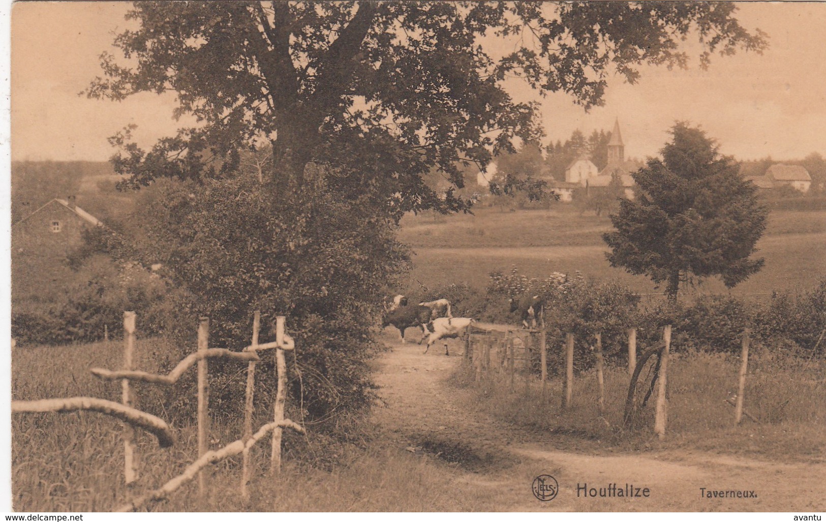 HOUFFALIZE / TAVERNEUX - Houffalize