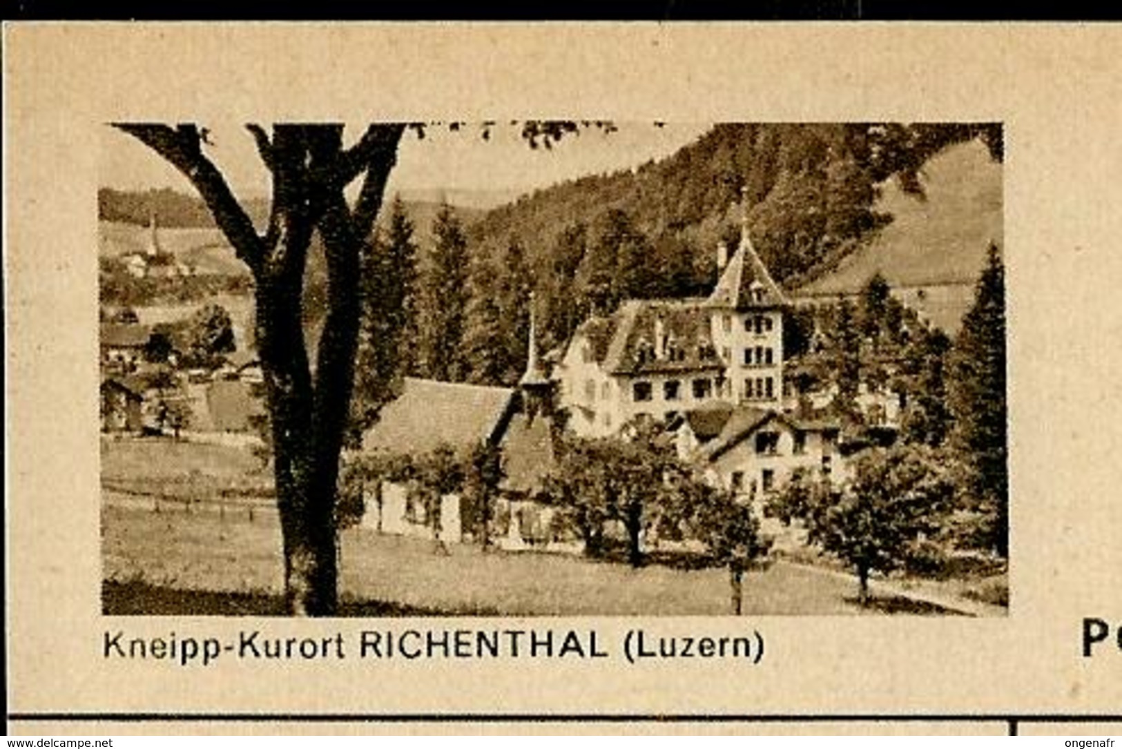 Carte Illustré Neuve N° 182 - 0189 F -  Kneipp-Kurort RICHENTHAL (Luzern)    (Zumstein 2009) - Entiers Postaux