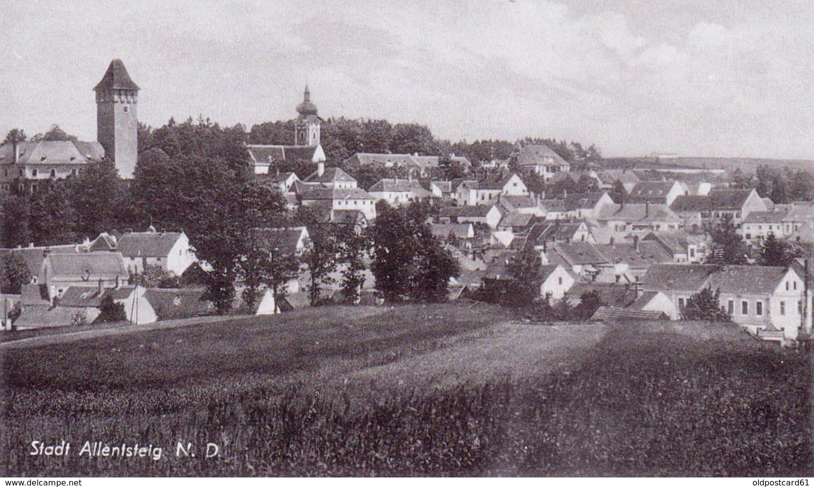 ALTE Foto- AK  ALLENTSTEIG / NÖ - Teilansicht - Ca. 1940 - Sonstige & Ohne Zuordnung