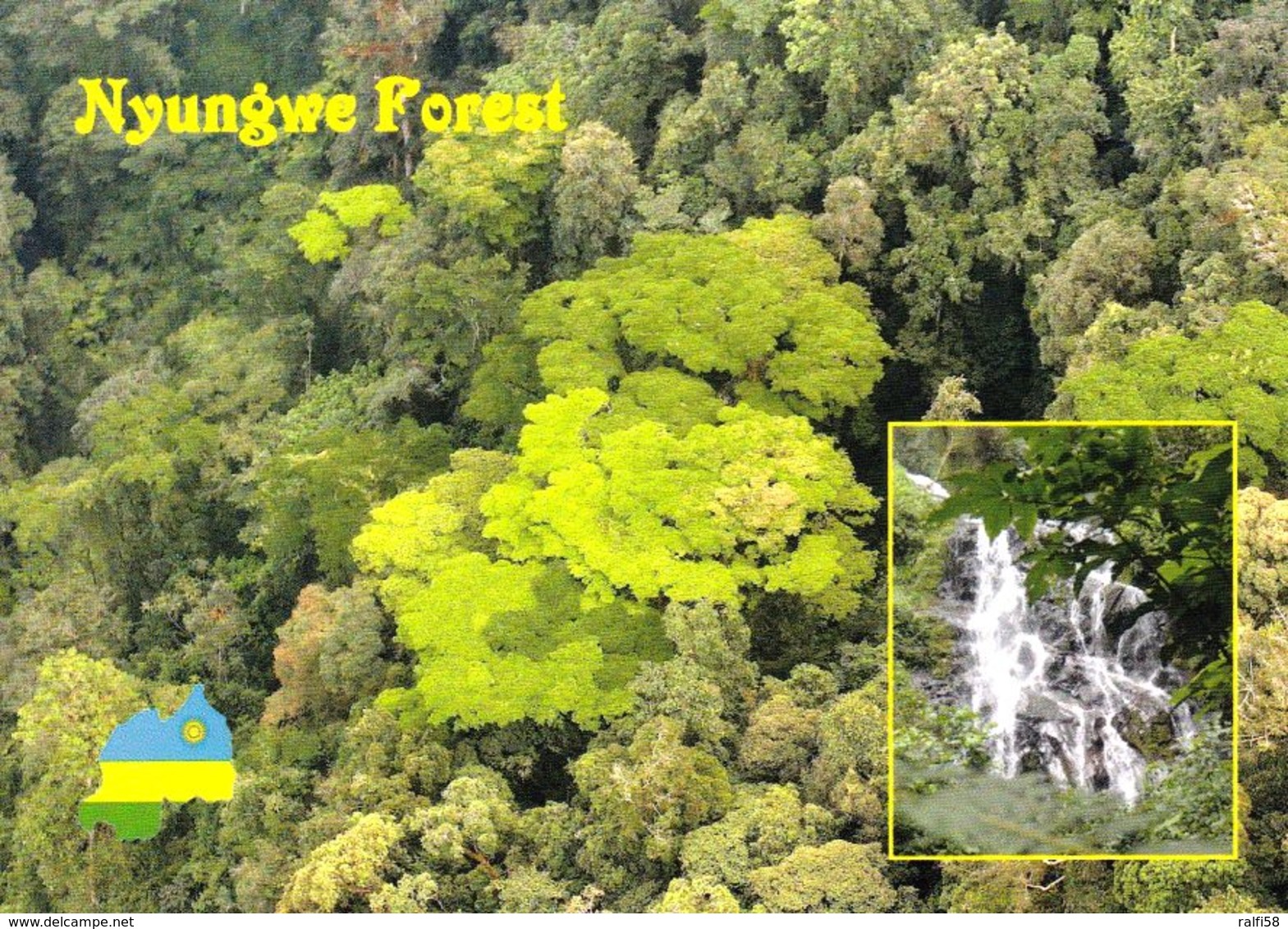 1 AK Ruanda * Der Nyungwe-Wald - Ein Immergrüner Bergregenwald - Das Waldgebiet Ist Seit 2012 Nationalpark * - Ruanda